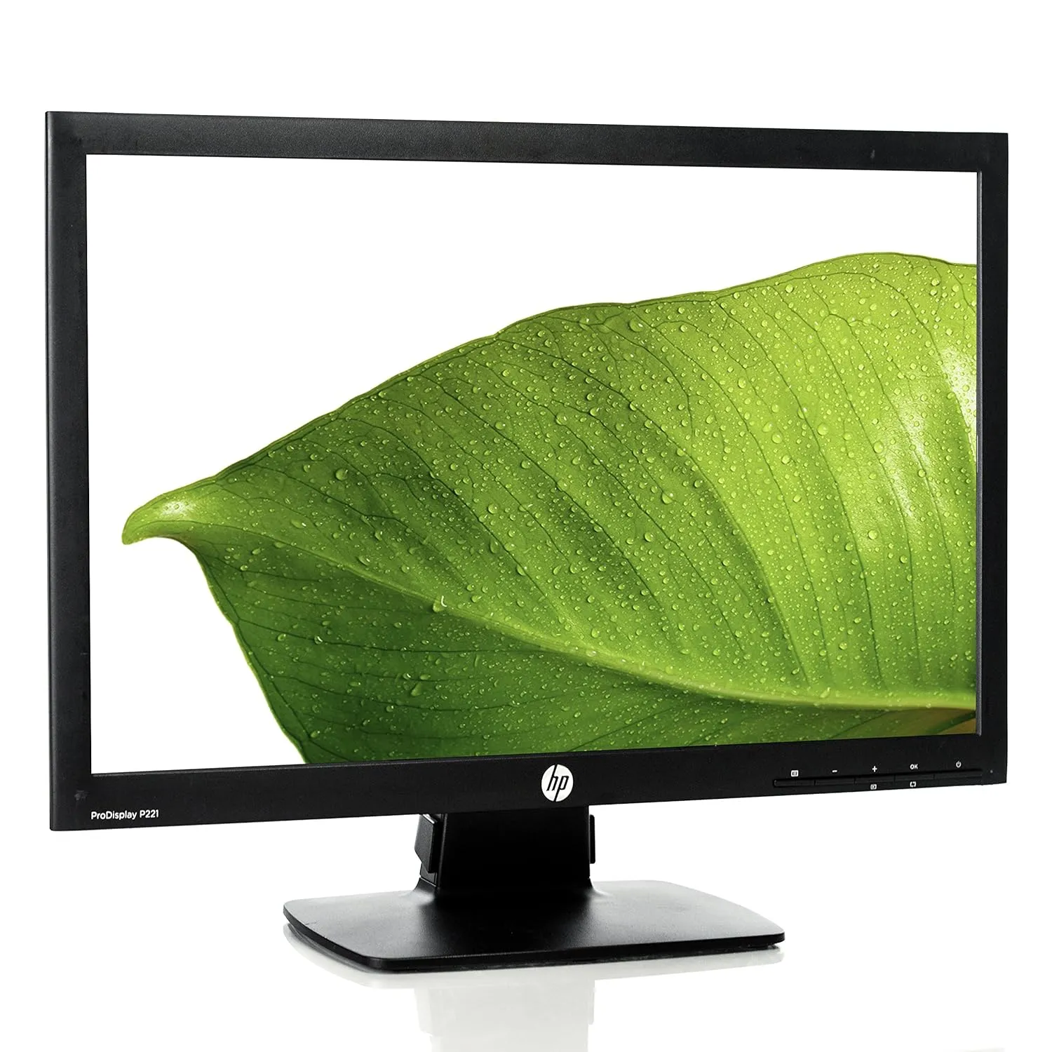 Best Price On HP ProDisplay P221 21.5 LED Backlit Computer Monitor In Pakistan - mbatraders (1)